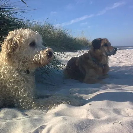 Oberes Sonnenschein شقة